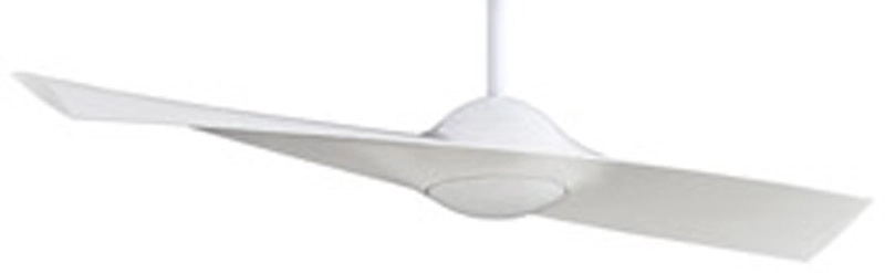 Wing