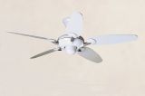 Hunter Ventilatore da soffitto Alchemy 24186 Hunter Ventilatore da soffitto Alchemy 24186